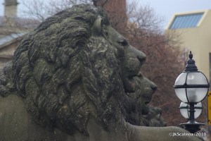 St. George's Hall's Lions
