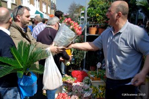 20 tulips for a tener!