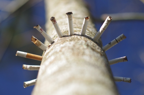 Tragados no Campo | Brangança Paulista