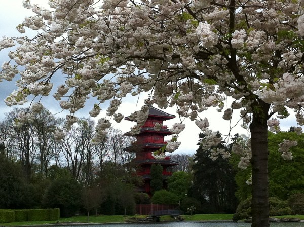 Jardins do Palácio Real 2