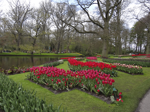 Keukenhof 4