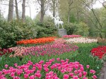 Keukenhof 1