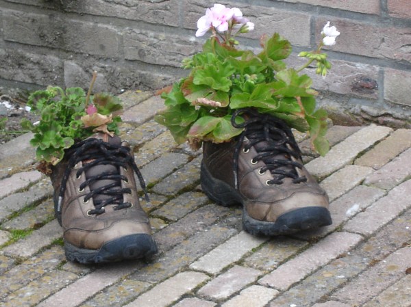 Tamancos Holandeses do Séc XXI