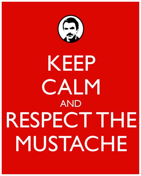 Keep Calm and Respect the Mustache