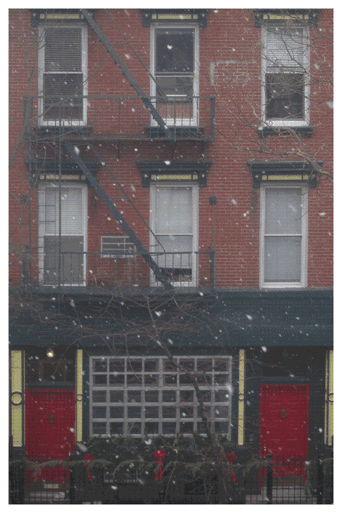 Let it snow | New York | Jaime Scatena