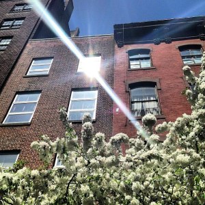 Instantâneo, Greenwich Village, New York