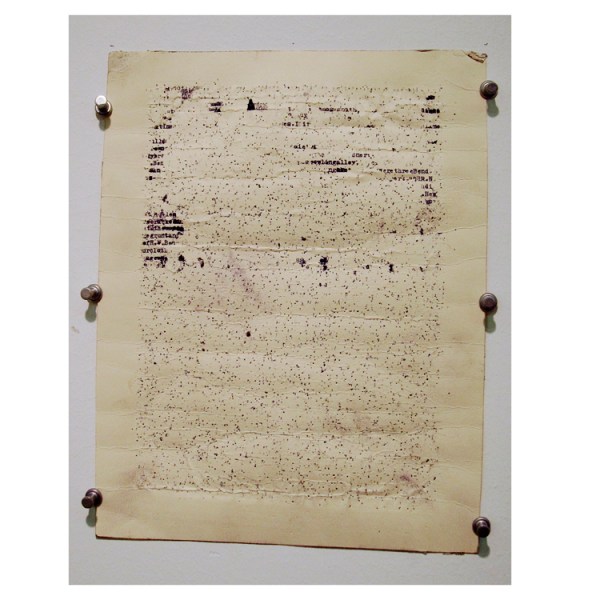 Black Spring (Henry Miller), Tim Youd